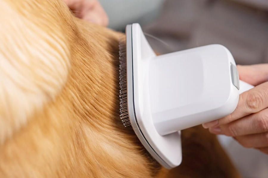 Vacuum Tool for Pet Grooming