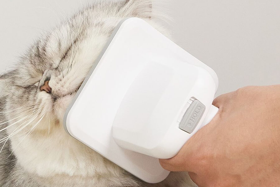 Dog and Cat Shedding Kit